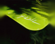 Sojourn Glass Mousepad - Limited Edition