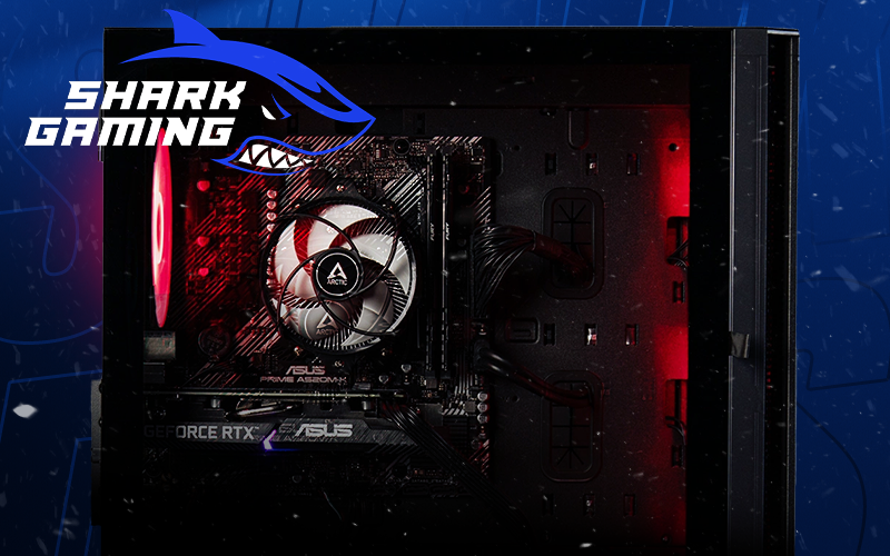 Shark Gaming Campaign