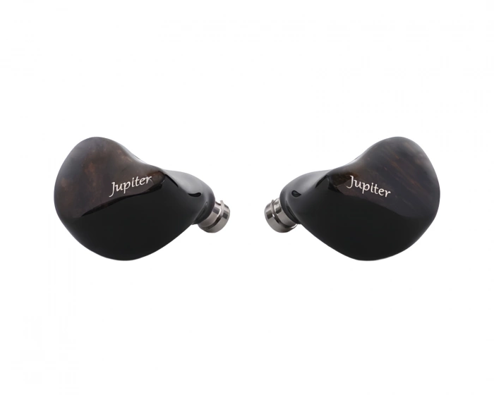 Melody Wings Jupiter 1DD IEM - Black