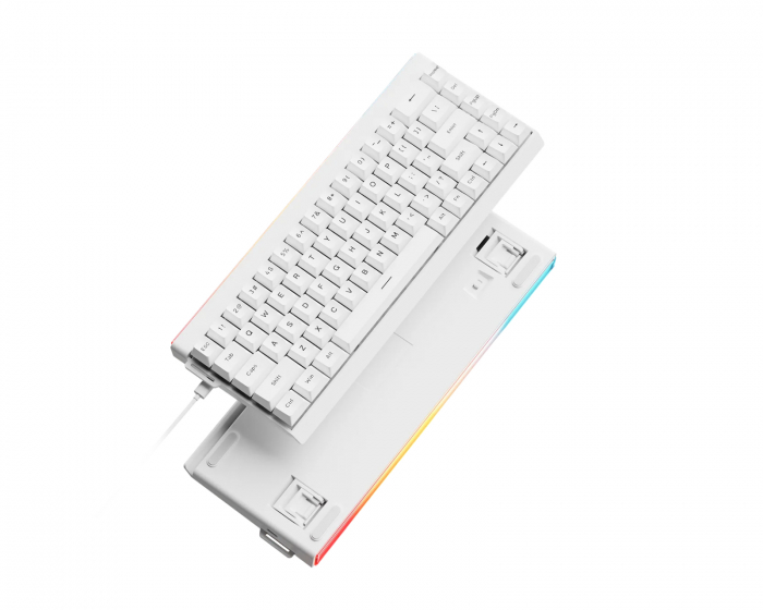 EWEADN DK68 Magnetic HE Keyboard ANSI [Gateron Wuji] - White