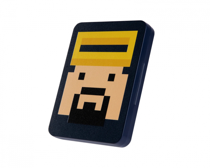 Funlab Switch Game Card Holder - 16 Slots - Dave Edition