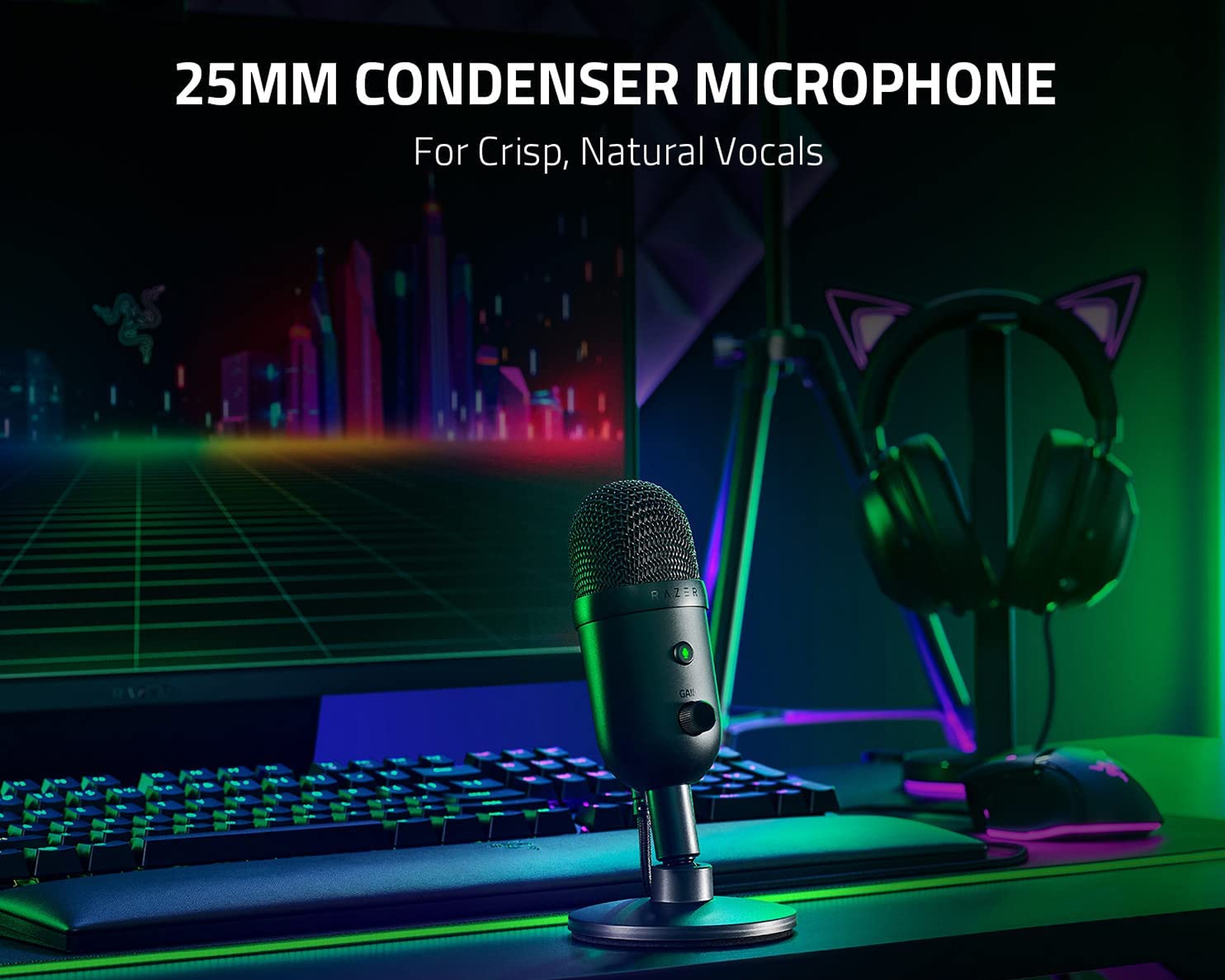 Razer Seiren V2 X Microphone - Black - MaxGaming.com