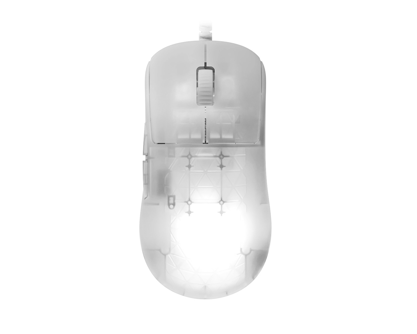 Endgame Gear OP1W 4K White Frost Endgame Gear OP1W 4K ホワイト