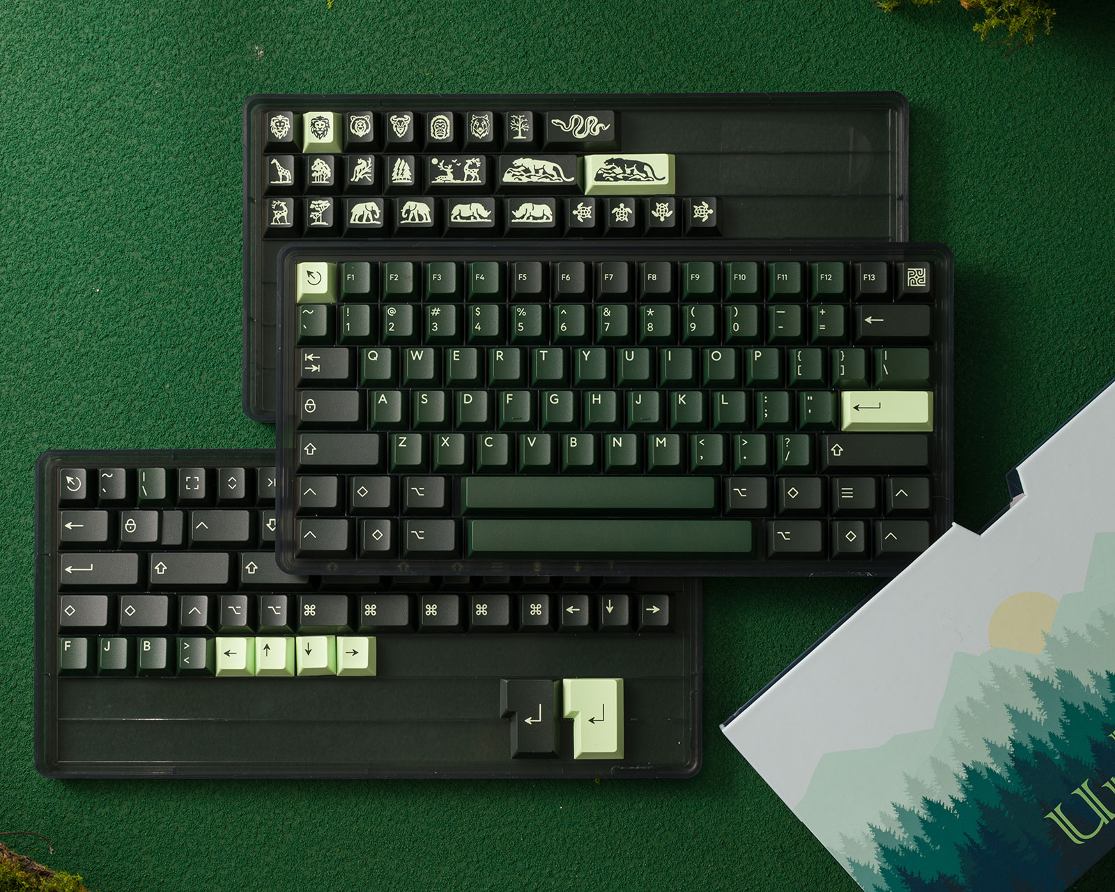 KBDfans PBTfans Untamed - Base kit - MaxGaming.com