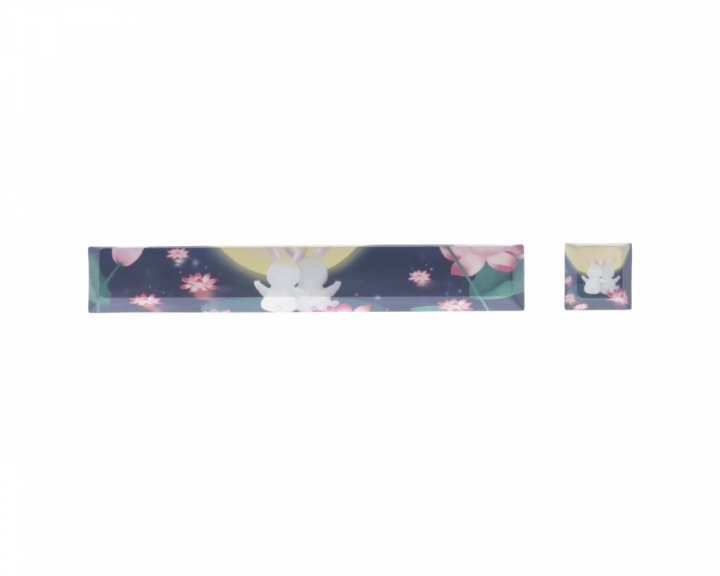 PBT Dye-sublimated Spacebar + Escape - 119 Moon Bunnies in the group PC Peripherals / Keyboards & Accessories / Keycaps at MaxGaming (17400)
