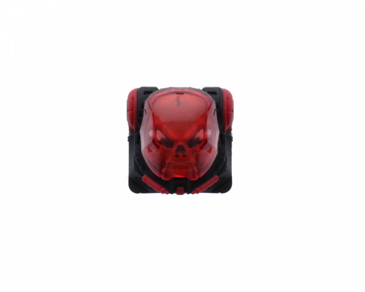 Astronskull - Darkness in the group PC Peripherals / Keyboards & Accessories / Keycaps at MaxGaming (17906)