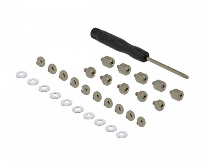 Delock Mounting Kit 31 Pieces For M.2 SSD/Module