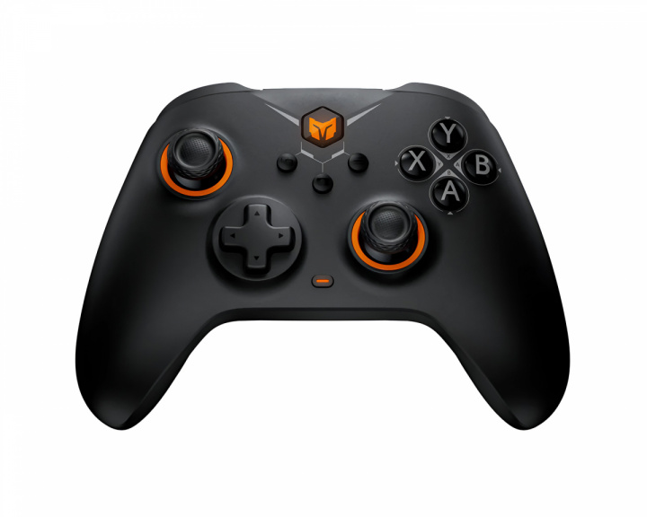 BIGBIG WON GALE Wireless Controller - Black