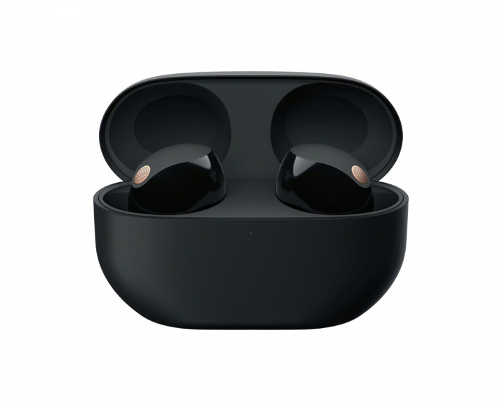 Sony WF-1000XM5 True Wireless Earbuds - Black