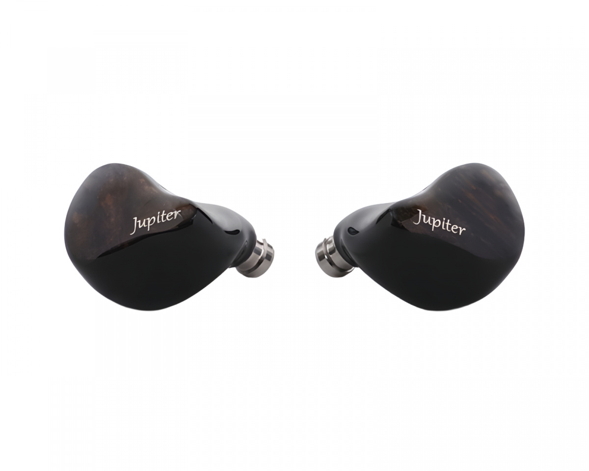 Melody Wings Jupiter 1DD IEM - Black - MaxGaming.com