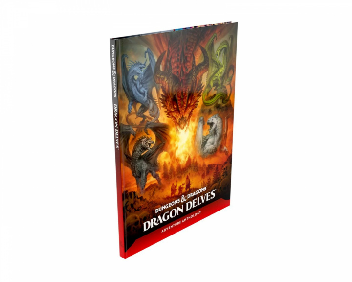  Dungeons & Dragons: Dragon Delves - Book