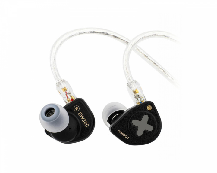  EW300-DSP IEM Headphones with Mic - Type-C