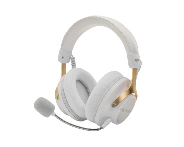  Gm01 Pro Wireless Gaming Headset - White