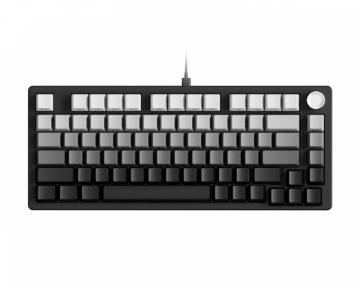 EWEADN DK75 Wired Gaming Keyboard ANSI - Gradient Black (DEMO)