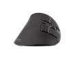 Euphonie Vertical Wireless Mouse