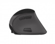 Euphonie Vertical Wireless Mouse