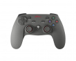 PV65 Wireless Gamepad (PC)