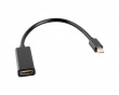 Displayport Mini Male to HDMI Female 20cm