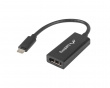 USB-C Male to Displayport Female Adapter