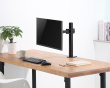 Monitor LCD Desk Mount - 1 Monitor