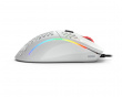 Model D Gaming Mouse Glossy White