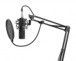 Radium 300 Studio XLR Microphone Bundle
