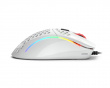 Model D- Gaming Mouse Glossy White