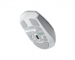 Pro Click Mini Wireless Mouse - White