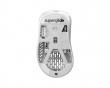 Glass Skates for Pulsar Xlite Series - White