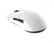 XM2we Wireless Gaming Mouse - White