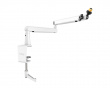 Low-Profile Boom Arm Stand - White