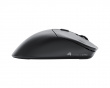 Model D 2 Pro Wireless Gaming Mouse - Black