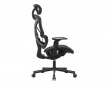 SpineX V2 Ergonomic Office Chair - Black