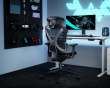 SpineX Pro Ergonomic Office Chair - Black