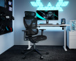 SpineX Pro Ergonomic Office Chair - Black