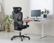 SpineX V2 Ergonomic Office Chair - Black