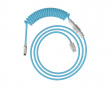 USB-C Coiled Cable - Light Blue / White