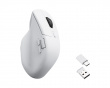 M6 Ergonomic Wireless Mouse - White