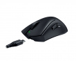 DeathAdder V3 Pro + HyperPolling Wireless Dongle - Black