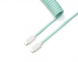 Custom Coiled Aviator Cable USB-C - Mint