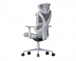 SpineX Pro Ergonomic Office Chair - Grey