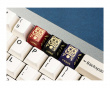 Dharma Zinc Alloy Artisan Keycap - Purple