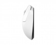 Terra Pro Wireless Gaming Mouse - White