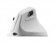 M5 8K Wireless Mouse - White M5 8K Wireless Mouse - White