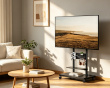 TV Stand with Shelves 50