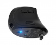 Euphonie Pro Wireless Vertical Mouse - Black