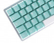 MxG x Milkyway - Turquoise
