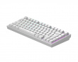 ALU81 Gaming Keyboard RGB - Nova [g3ms Moonstone] - White