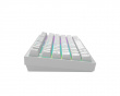 ALU81 Gaming Keyboard RGB - Nova [g3ms Moonstone] - White