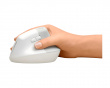 Lift Vertical Ergonomic Mouse - White